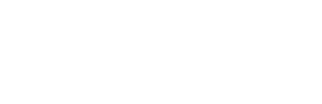 لوگو سفید رنگ باربری و اتوبار تضمین